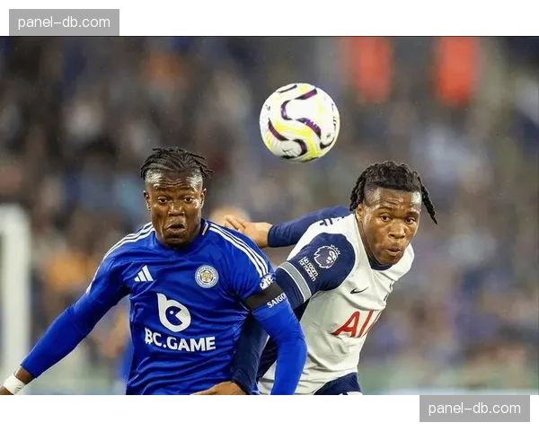 突发：热刺vs莱斯特城比赛因场内出现抗议者闯入而短暂中断