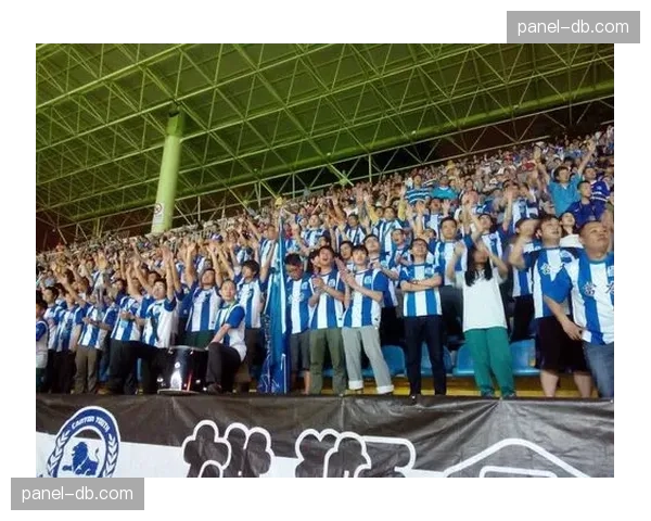 通讯：探访河南队球迷组织，看台“第12人”如何为保级呐喊