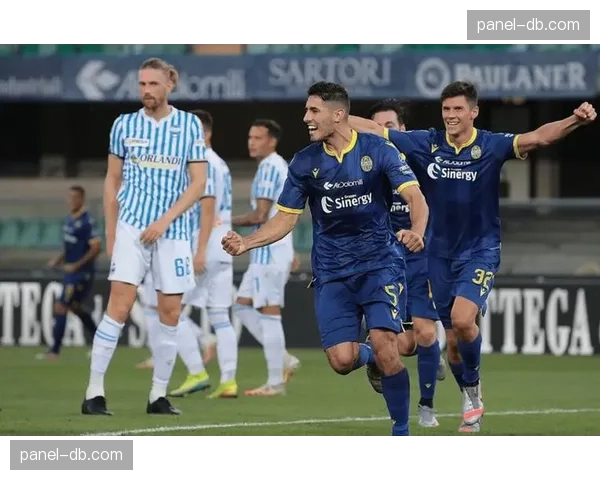 通讯：一座城市的等待，维罗纳队惊险保级成功后的24小时