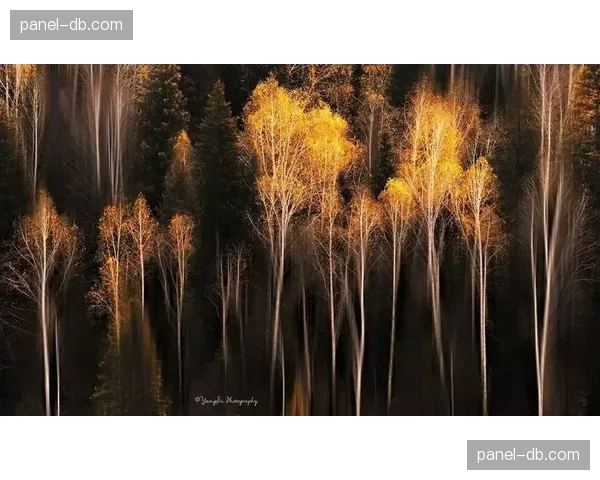 观点：随着“位置模糊化”成为主流，传统中锋的角色是否正在被重新定义？